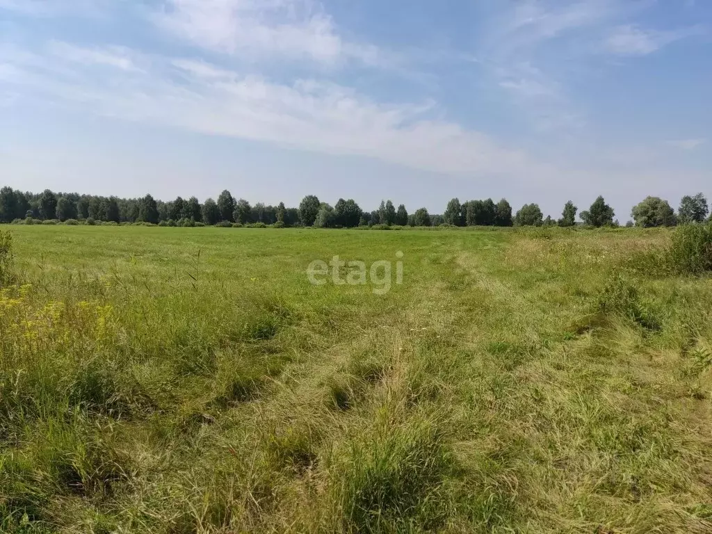 участок в тюменская область, тюменский район, д. есаулова (15.3 сот.) - Фото 0