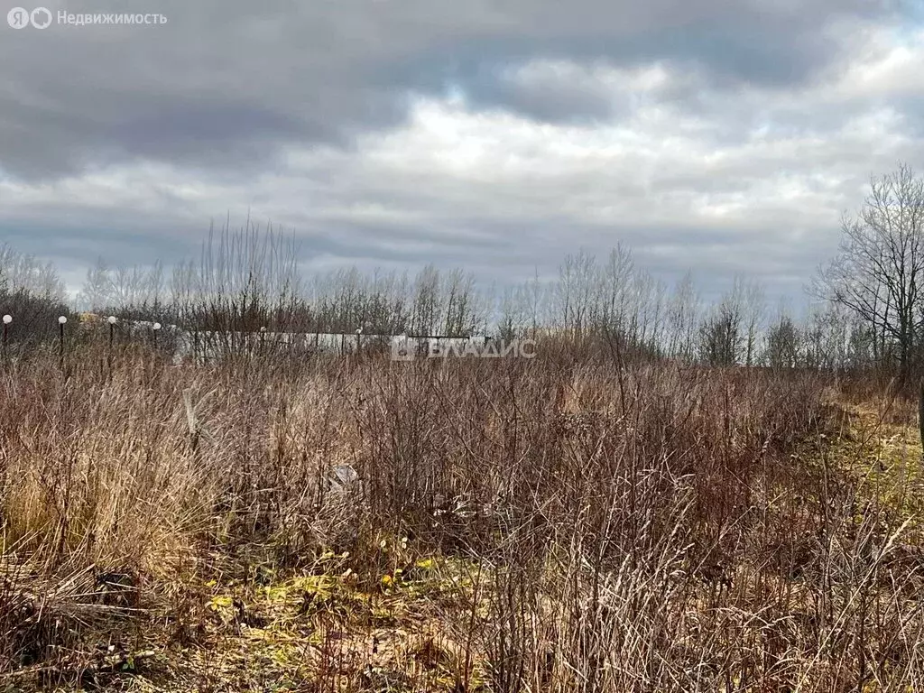 Участок в Суздальский район, муниципальное образование Павловское, ... - Фото 1