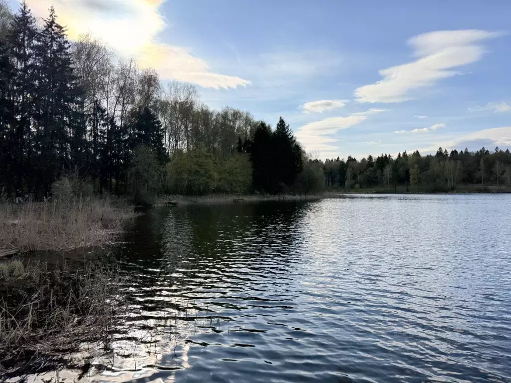 Участок в Московская область, Мытищи городской округ, д. Юрьево  (10.0 ... - Фото 1