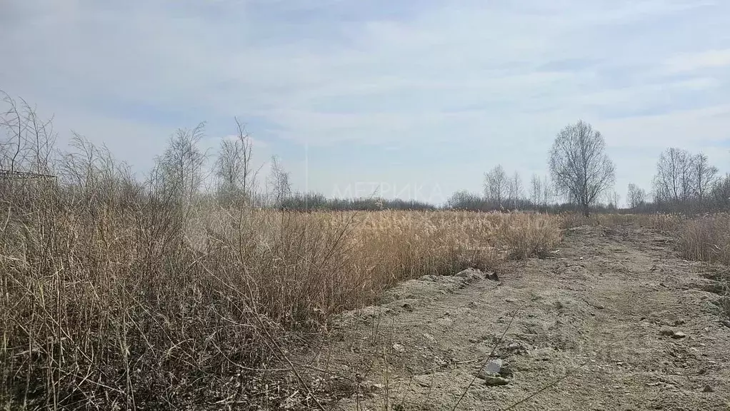 Участок в Тюменская область, Тюмень Поле Чудес садовое товарищество, ... - Фото 0