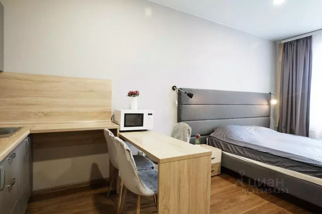 Студия Санкт-Петербург ул. Савушкина, 104 (27.0 м) - Фото 2