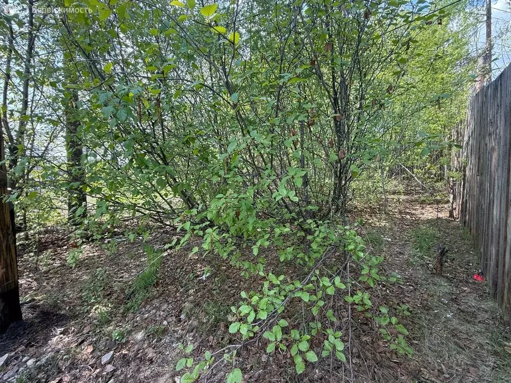 Участок в Нерюнгри, Комсомольская улица, 14/1 (15 м) - Фото 0