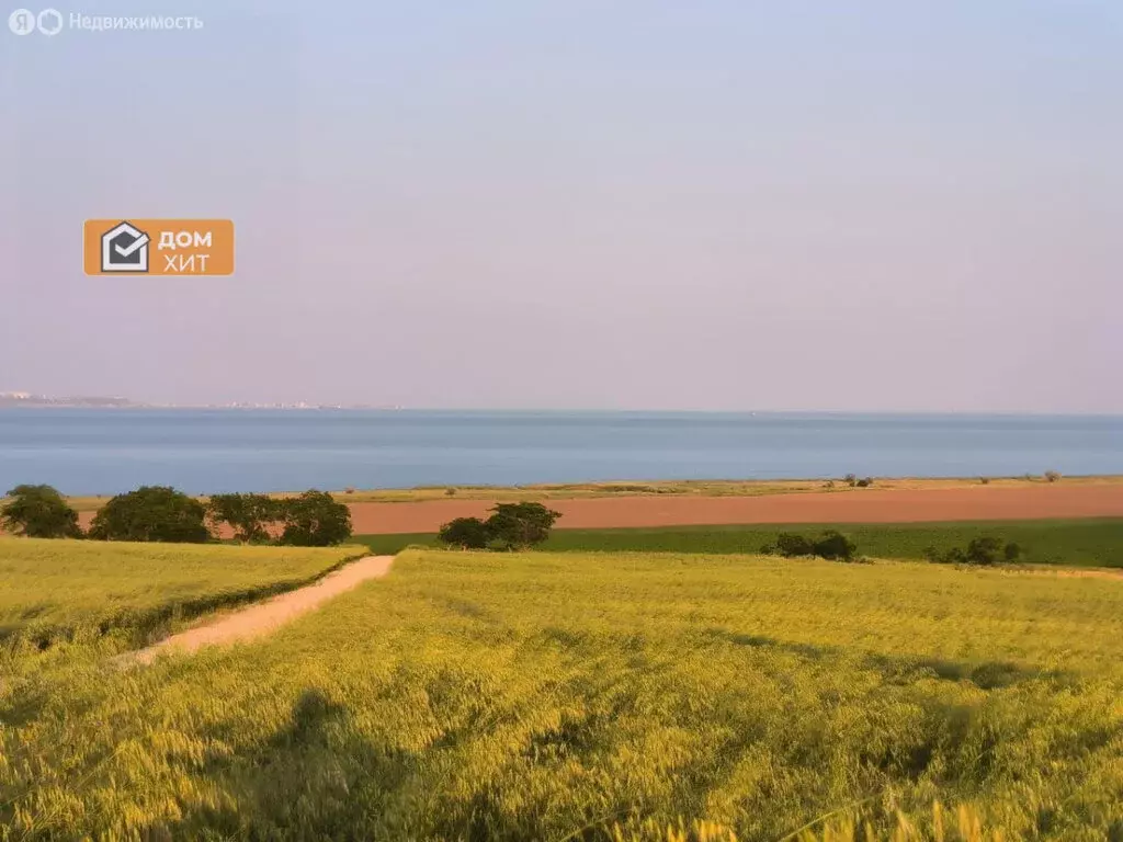 Участок в Ленинский район, Челядиновское сельское поселение, село ... - Фото 1