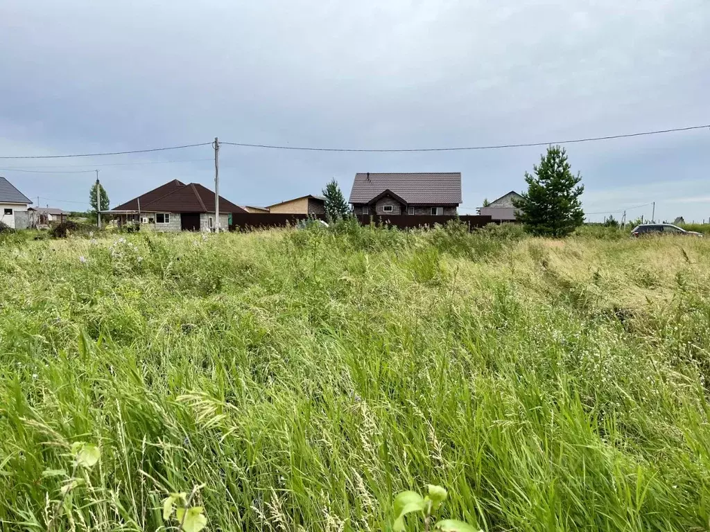 Участок в Алтайский край, Первомайский район, Сибирь ДНТ ул. Пятая ... - Фото 2