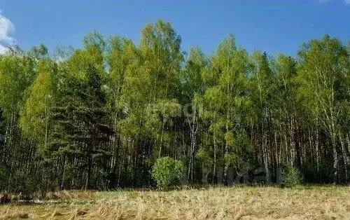 Участок в Алтайский край, Бийский район, с. Лесное  (10.4 сот.) - Фото 0