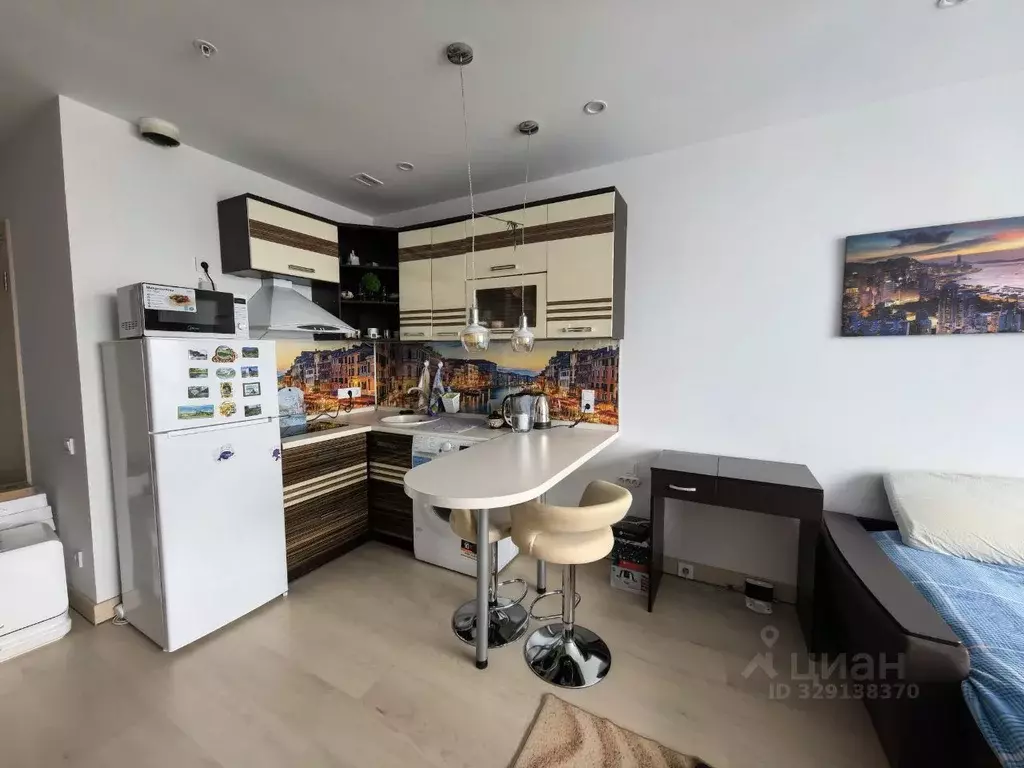 Студия Москва ул. 1-я Леонова, 18 (28.0 м) - Фото 0