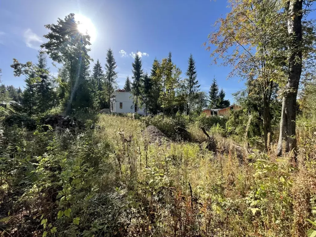 Участок в Московская область, Солнечногорск городской округ, Лесное ... - Фото 1