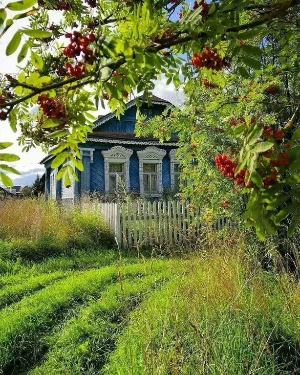 Дом в Воронежская область, Лискинский район, Колыбельское с/пос, с. ... - Фото 1