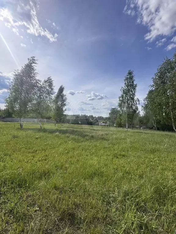 Участок 12 сот. (ИЖС) - Фото 1