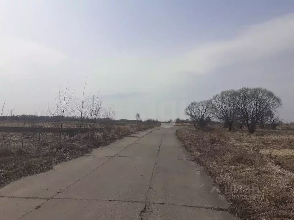 Участок в Брянская область, Жуковский муниципальный округ, с. Овстуг  ... - Фото 1