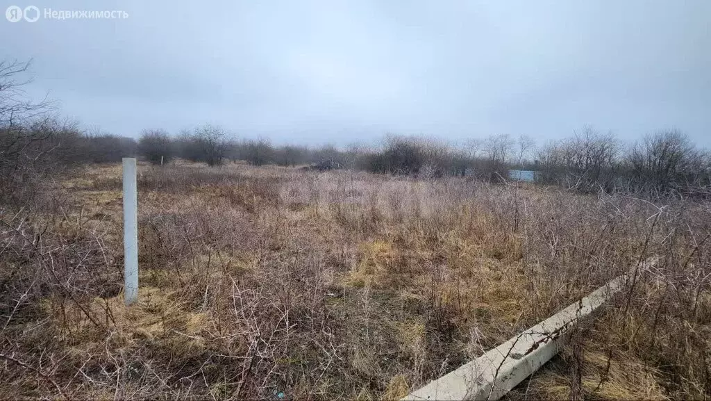 Участок в село Репное, Рассветная улица (15 м) - Фото 1