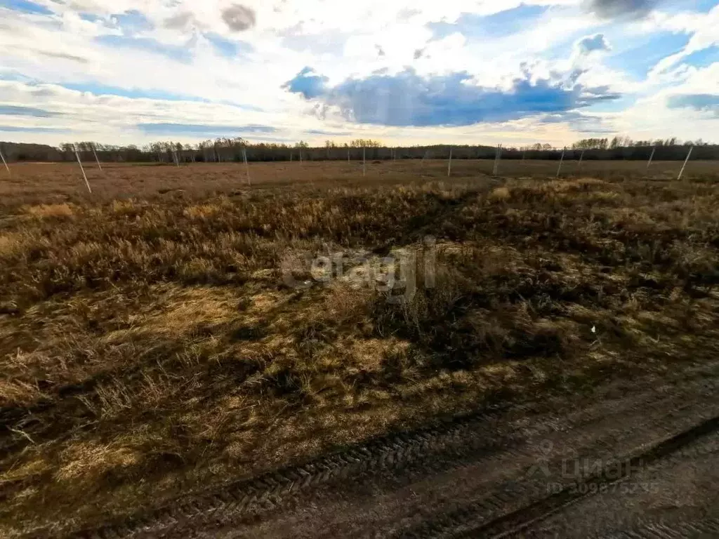 Участок в Тюменская область, Тюменский район, с. Червишево  (8.4 сот.) - Фото 0