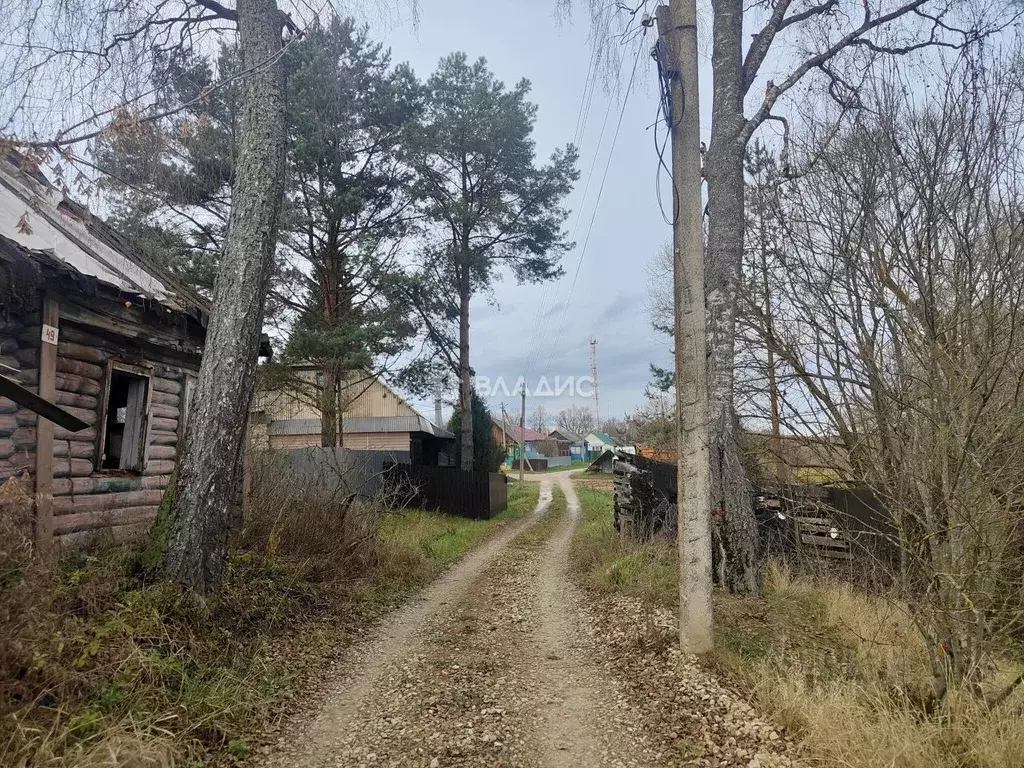 Участок в Калужская область, Медынский муниципальный округ, Михеево ... - Фото 2
