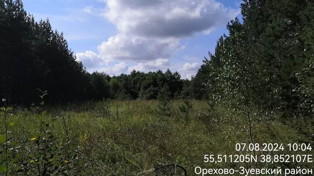 Участок в Московская область, Орехово-Зуевский городской округ, д. ... - Фото 2