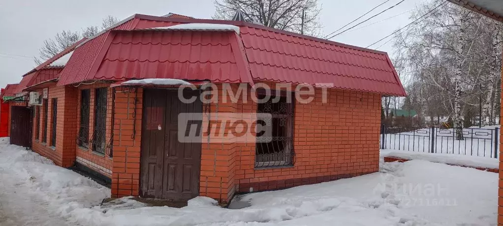 Торговая площадь в Воронежская область, с. Нижнедевицк ул. Чижова, 2И ... - Фото 2