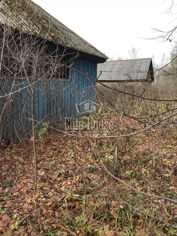 Участок в Калужская область, Сухиничский муниципальный округ, Шлиппово ... - Фото 1
