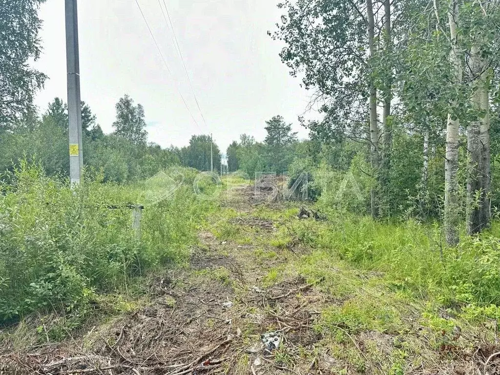 Участок в Тюменская область, Тюменский район, Лесник-2 СНТ ул. ... - Фото 1
