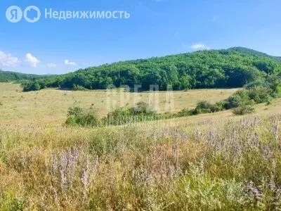 Участок в Верхнесадовский муниципальный округ, село Верхнесадовое (8.4 ... - Фото 1