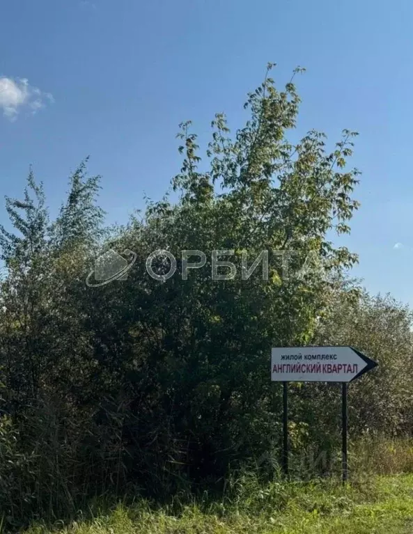 Участок в Тюменская область, Тюмень Рябинка-2 садовое товарищество, ... - Фото 1