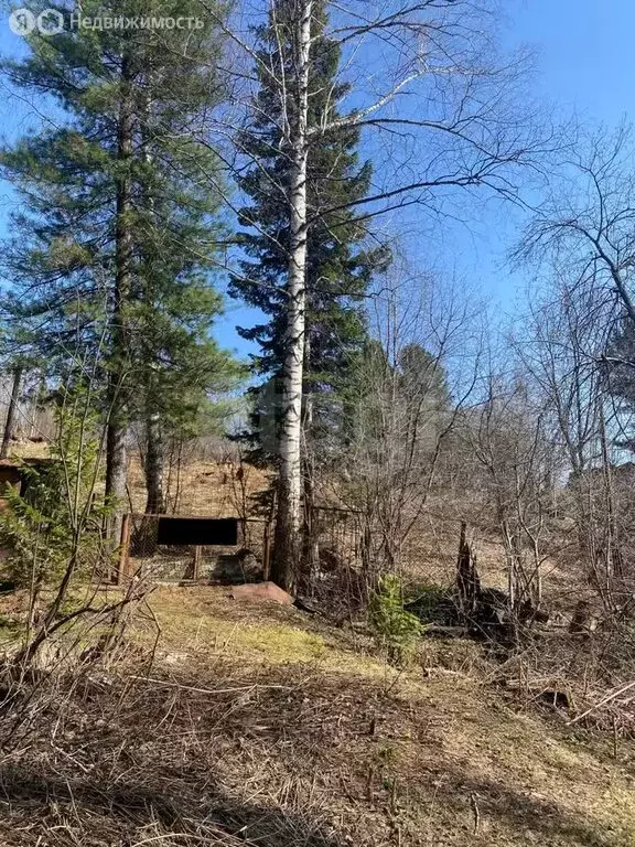 Участок в Междуреченск, СНТ Знамя Шахтёра, Еловая линия (15 м) - Фото 0