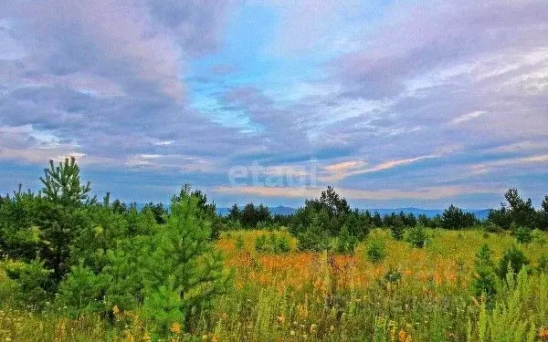 Участок в Ленинградская область, Волосовский район, Калитинское с/пос, ... - Фото 0