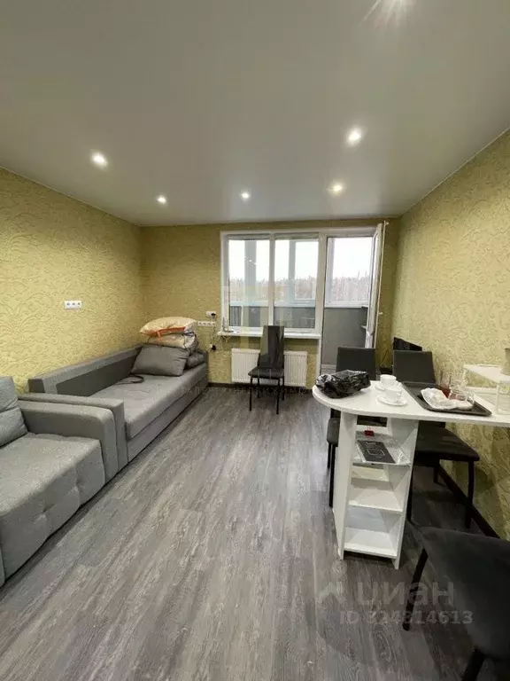 Студия Санкт-Петербург пос. Парголово, Заречная ул., 13к1 (26.7 м) - Фото 2