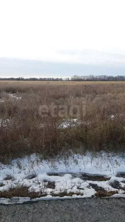 Участок в Курган, микрорайон Тополя (1354 м) - Фото 1