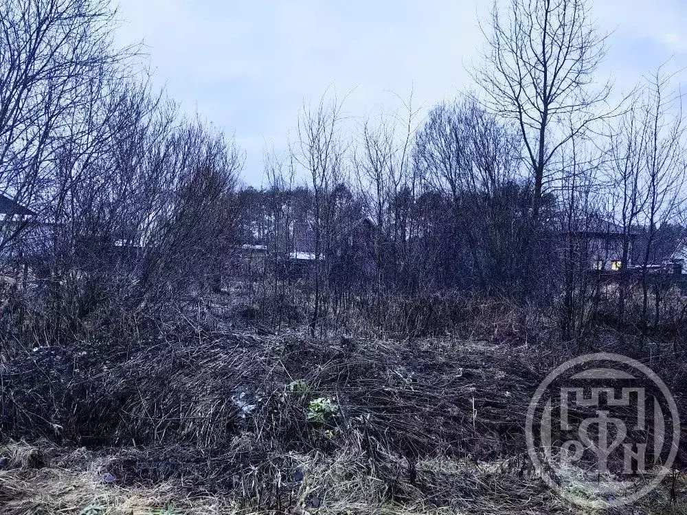 Участок в Ленинградская область, Выборгский район, пос. Первомайское ... - Фото 2