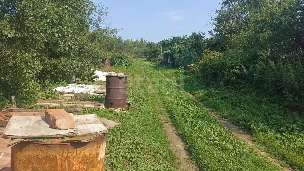 Участок в Костромская область, Кострома Прогресс СНТ, 118 (6.3 сот.) - Фото 1