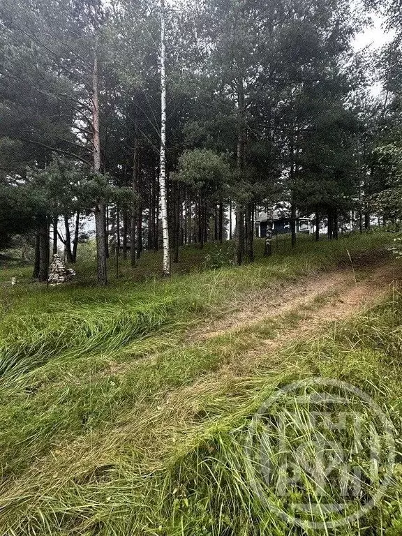 Участок в Ленинградская область, Всеволожский район, Колтушское ... - Фото 2