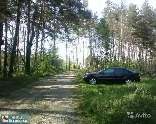 Участок в Белгородская область, Шебекинский городской округ, с. Новая ... - Фото 1