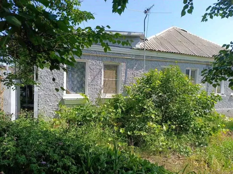 Дом в Воронежская область, Воронеж ул. Чапаева, 141 (68 м) - Фото 0