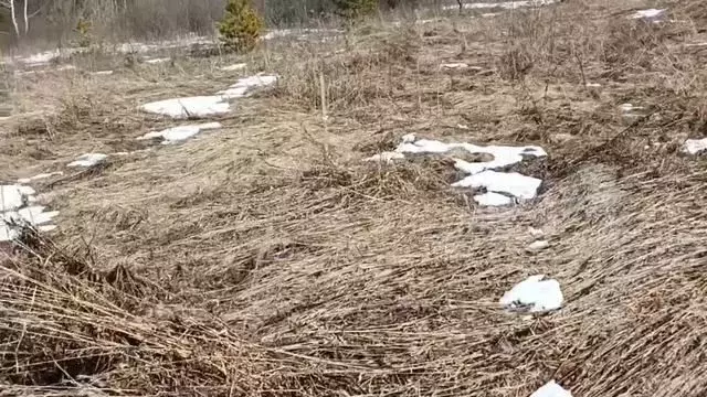 Участок 12 сот. (ИЖС) - Фото 1
