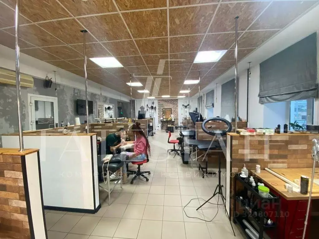 Помещение свободного назначения в Татарстан, Казань ул. Пушкина, 42 ... - Фото 2