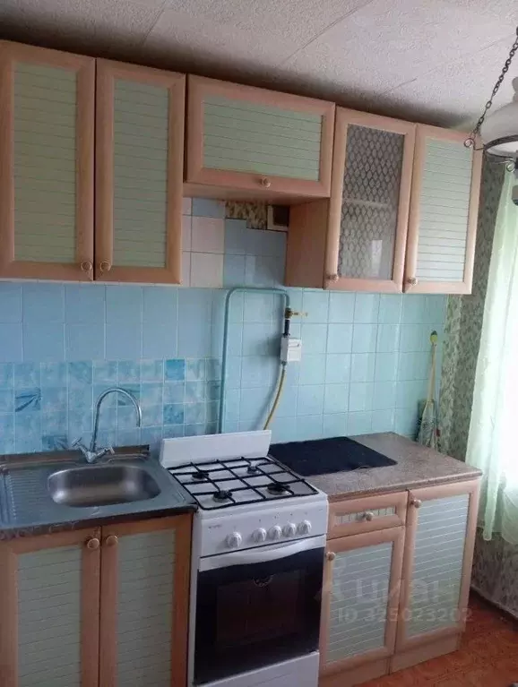 1-к кв. Омская область, Омск ул. Анатолия Маркова, 4 (31.0 м) - Фото 1