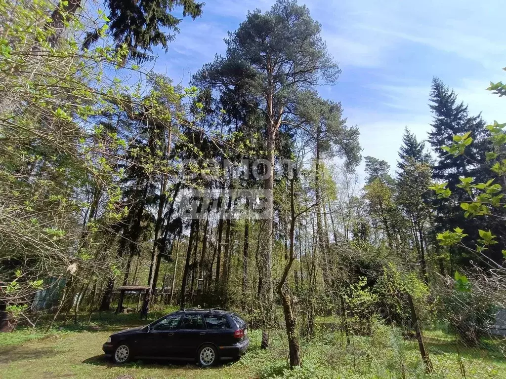 Участок в Московская область, Раменский муниципальный округ, Кратово ... - Фото 1