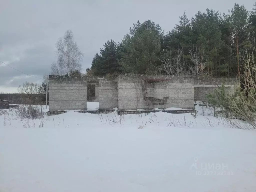 Дом в Брянская область, Навлинский район, Бяковское с/пос, д. Селище ... - Фото 1
