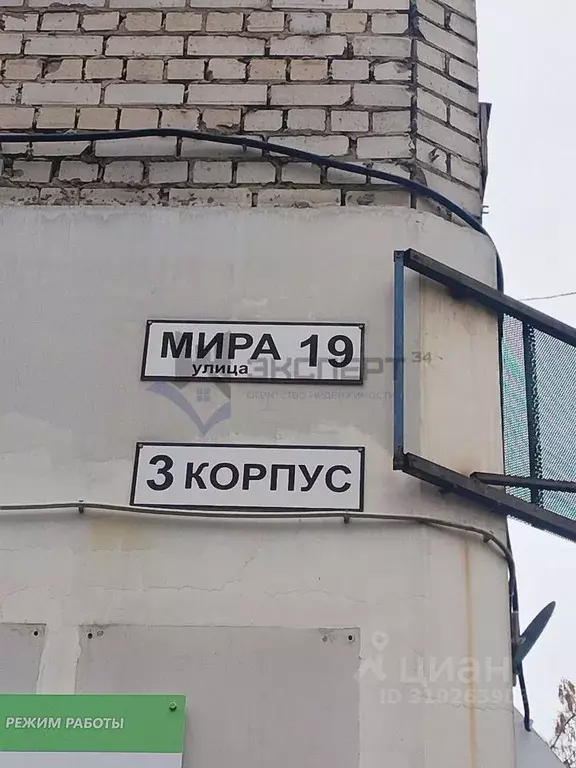 Офис в Волгоградская область, Волгоград ул. Мира, 19 (203 м) - Фото 1