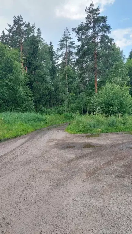 Участок в Московская область, Клин городской округ, Озеро Перелаз ... - Фото 1