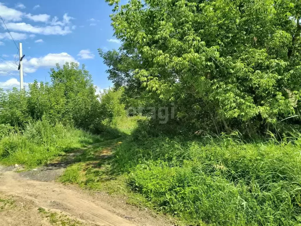 Участок в Смоленская область, Смоленск пос. Красный Бор, ул. ... - Фото 0