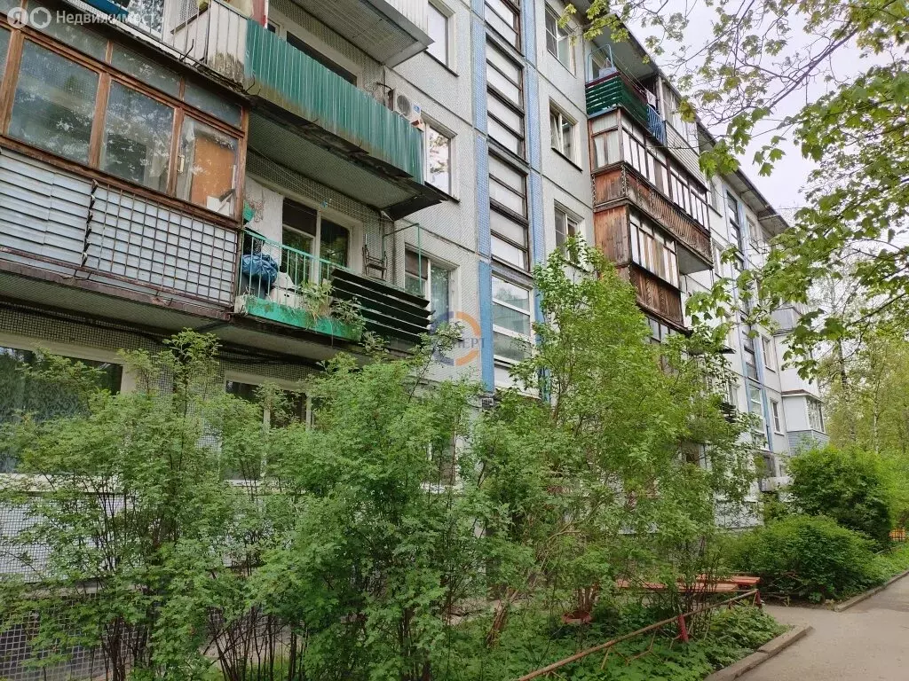 1-комнатная квартира: Великий Новгород, район Колмово, улица Павла ... - Фото 1