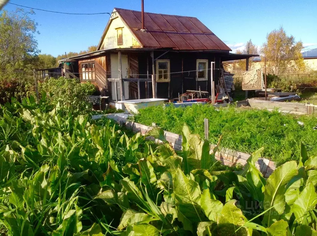 Дом в Камчатский край, Елизово Здоровье СНТ, ул. Солнечная (45 м) - Фото 2