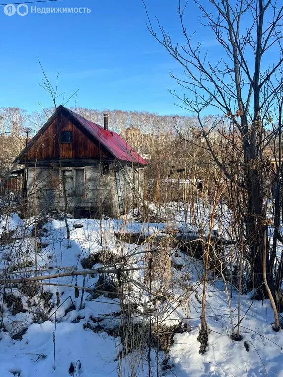 Участок в село Паратунка, Партизанская улица (15.5 м) - Фото 1