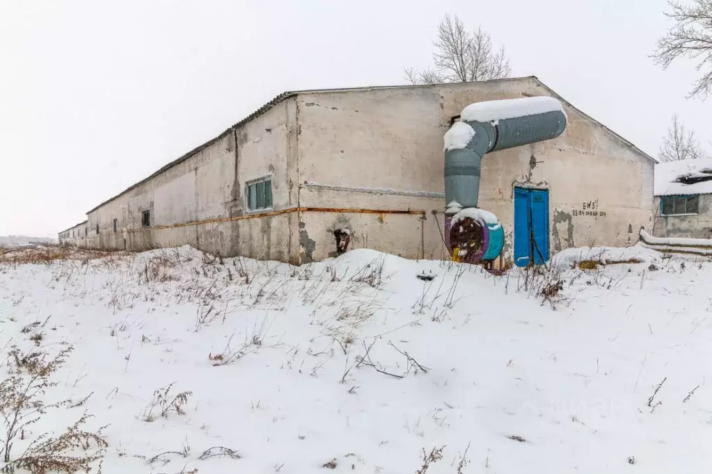 Помещение свободного назначения в Омская область, Горьковский район, ... - Фото 0