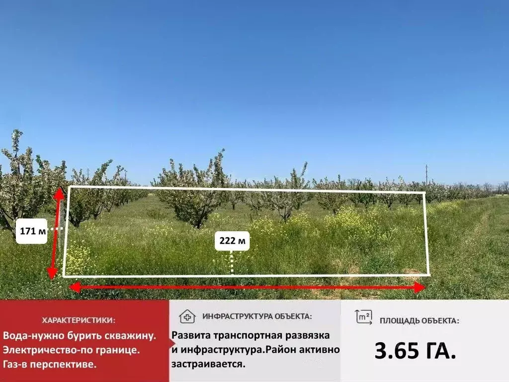 Участок в Крым, Красногвардейский район, с. Марьяновка  (365.0 сот.) - Фото 1