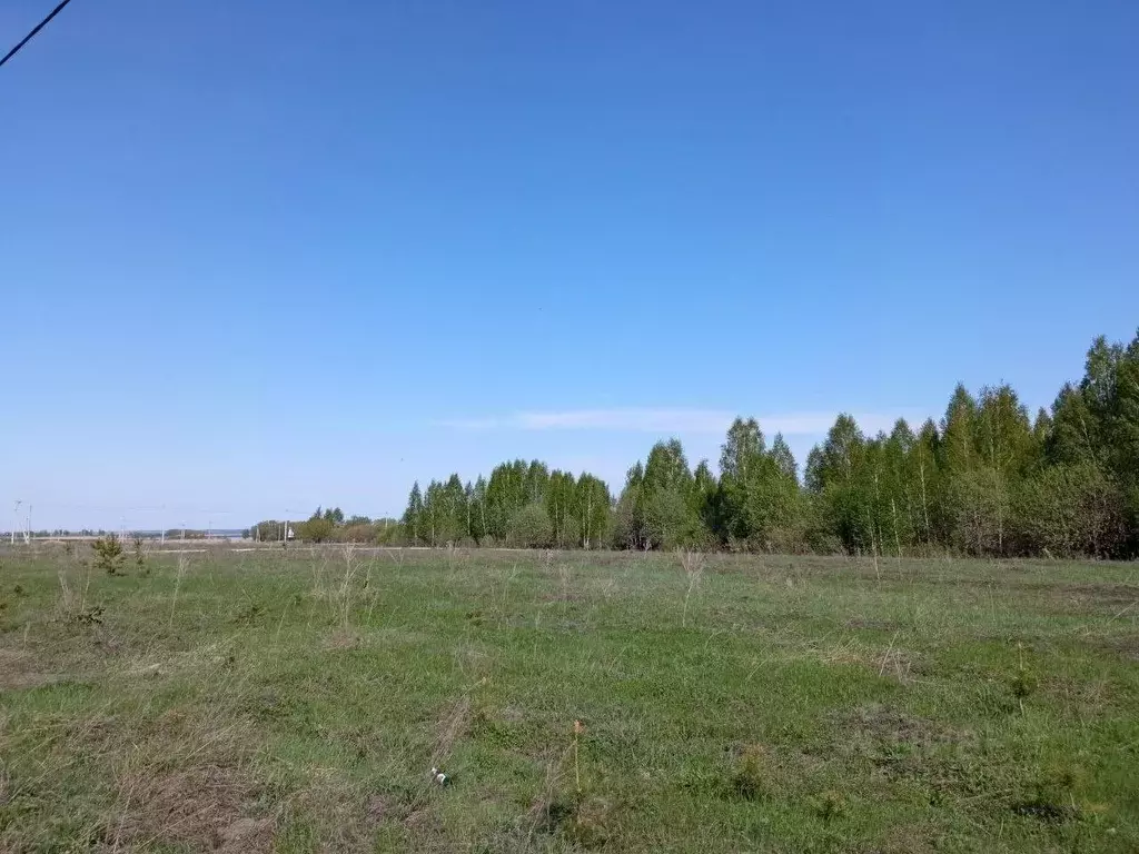 Участок в Татарстан, Лаишевский район, Кирбинское с/пос, д. Травкино  ... - Фото 1