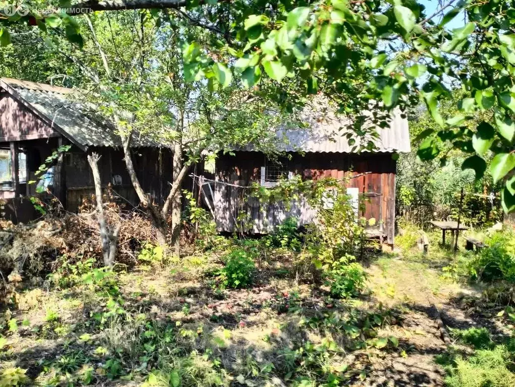 Участок в Саратов, СНТ Мечта-1 (5.3 м) - Фото 0