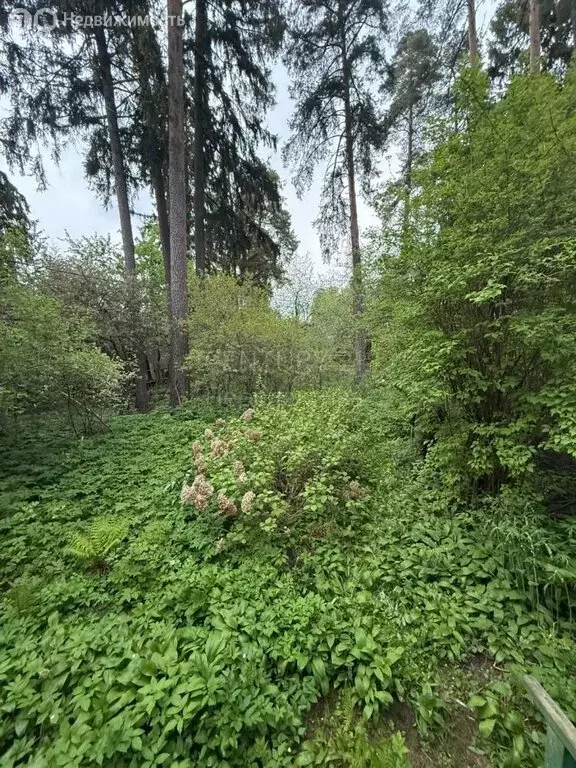 Участок в деревня Алабино, Школьная улица (16 м) - Фото 0