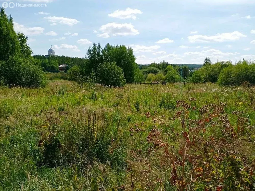 Участок в Свердловская область, Белоярский муниципальный округ, ... - Фото 2