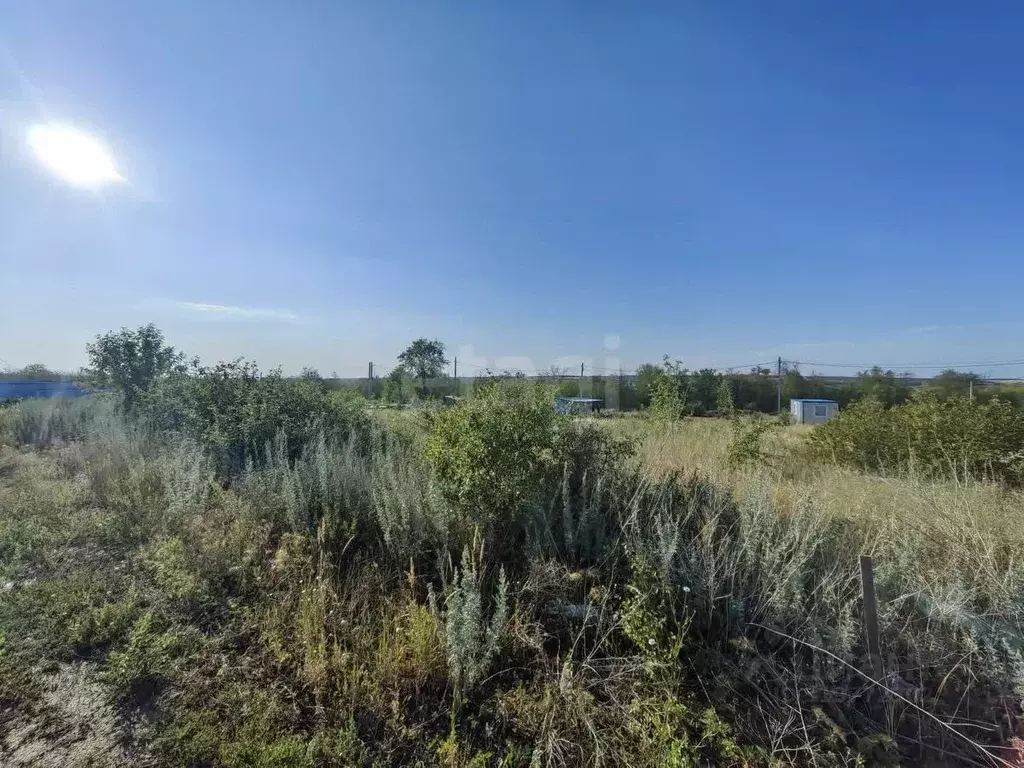 Участок в Ростовская область, Родионово-Несветайский район, ... - Фото 1